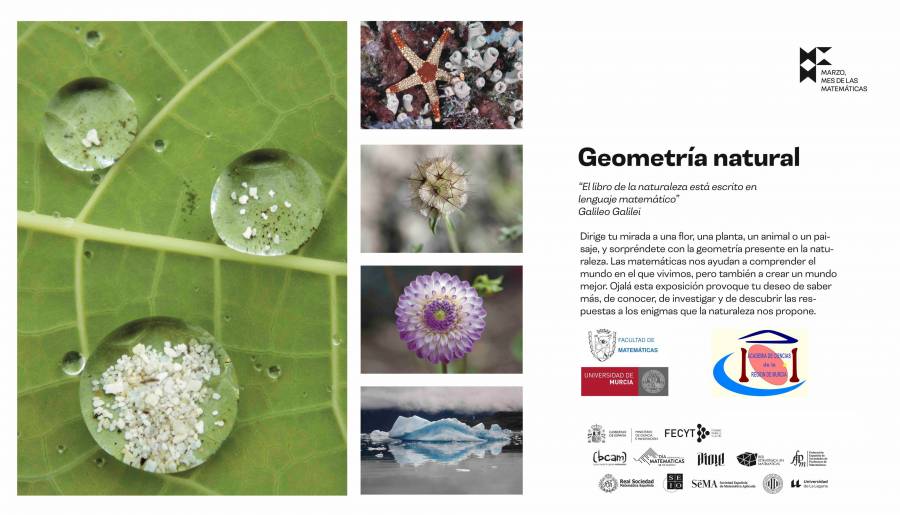 portadaumu-acc.jpg portadaumu-acc.jpg