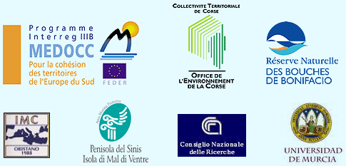 medocc.gif medocc.gif