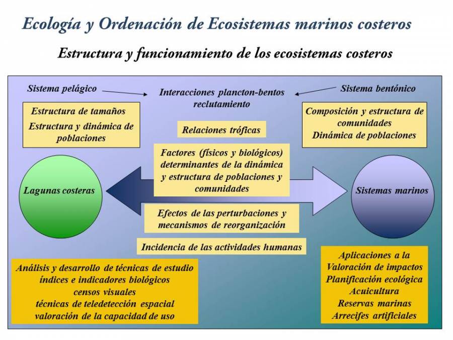 diapositiva1.jpg diapositiva1.jpg