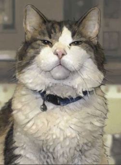 el-gato-oscar.jpg el-gato-oscar.jpg