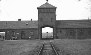 auschwitz.jpg auschwitz.jpg