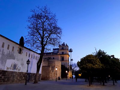 alcazar_de_jerez_15marzo2020_reducida.jpg alcazar_de_jerez_15marzo2020_reducida.jpg