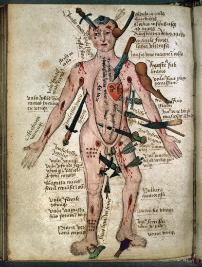 anatomia-pseudo-galeno-s.xvi.jpg anatomia-pseudo-galeno-s.xvi.jpg