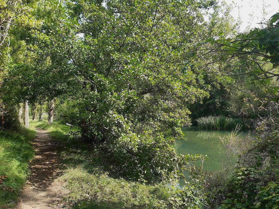 rio_duraton_20sept2019_2.jpg rio_duraton_20sept2019_2.jpg