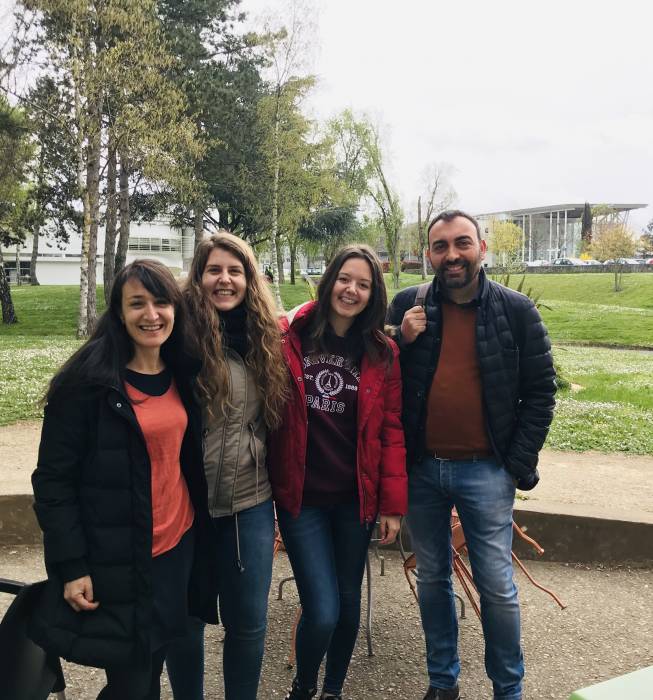 img_2339.jpg img_2339.jpg