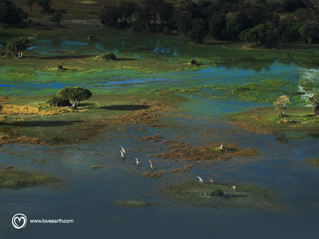 wall05_640x480.jpg wall05_640x480.jpg