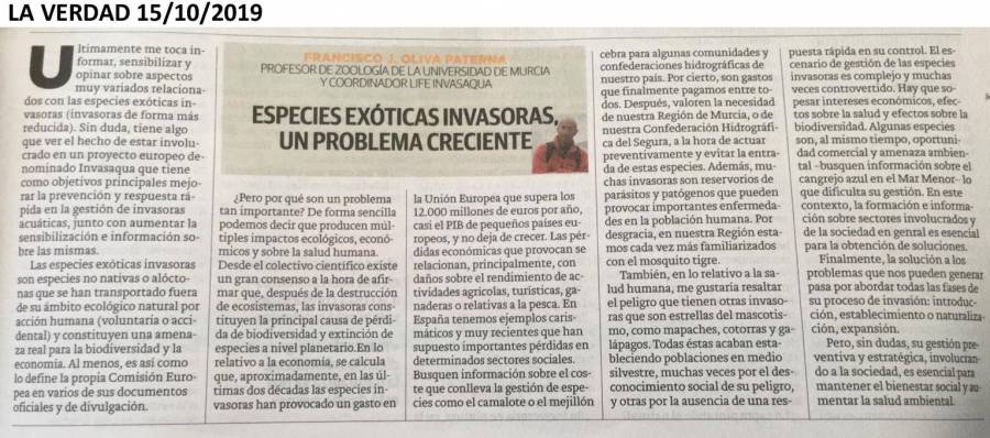 2019_articulo_opinion_eei.jpg 2019_articulo_opinion_eei.jpg