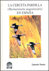 cerceta_pardilla.jpg cerceta_pardilla.jpg