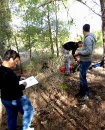 00dpm_muestreoveg.jpg 00dpm_muestreoveg.jpg