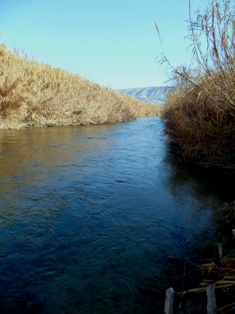 00invest_canya1.jpg 00invest_canya1.jpg