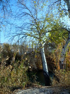 00invest_canya0.jpg 00invest_canya0.jpg