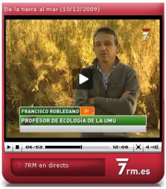 proyecto_cieza_en_7rm.jpg proyecto_cieza_en_7rm.jpg