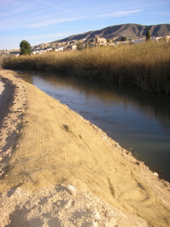 habitat_nutria.jpg habitat_nutria.jpg