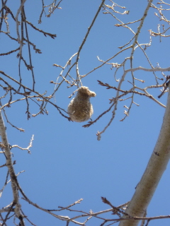 memoria_cieza_2.jpg memoria_cieza_2.jpg