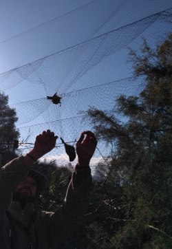 img_20161115_095028_redes.jpg img_20161115_095028_redes.jpg