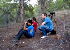 00dpm_obsaves.jpg 00dpm_obsaves.jpg