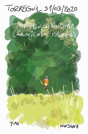 tarabillanortena31032020_70_55-2.jpg tarabillanortena31032020_70_55-2.jpg