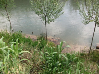 000t_cieza_dscf7056.jpg 000t_cieza_dscf7056.jpg