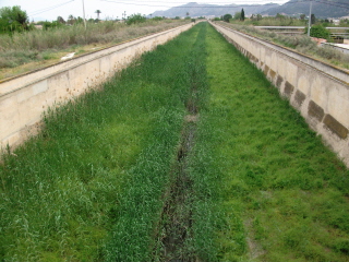 000t_regueron_dscf7093.jpg 000t_regueron_dscf7093.jpg