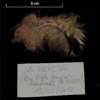 blog_plumabbubo_1302-2012-n-rev_retocada_escala_para_web.jpg blog_plumabbubo_1302-2012-n-rev_retocada_escala_para_web.jpg