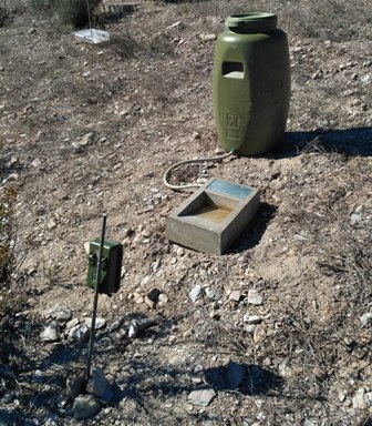 img_20161110_130232-fototrampeo.jpg img_20161110_130232-fototrampeo.jpg