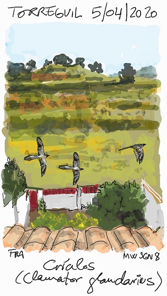 crialos_05042020_70_45.jpg crialos_05042020_70_45.jpg