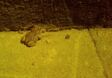 000_blog_bcalamita2.jpg 000_blog_bcalamita2.jpg