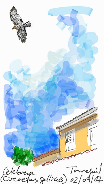 culebrera_020917_70_30.jpg culebrera_020917_70_30.jpg