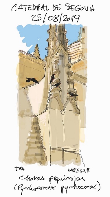 chovas_segovia250819-75_50.jpg chovas_segovia250819-75_50.jpg