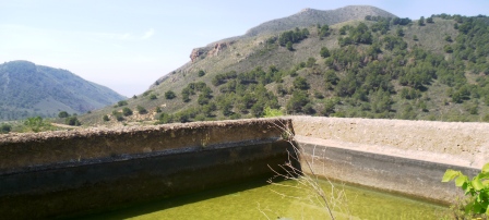 chuecos.jpg chuecos.jpg