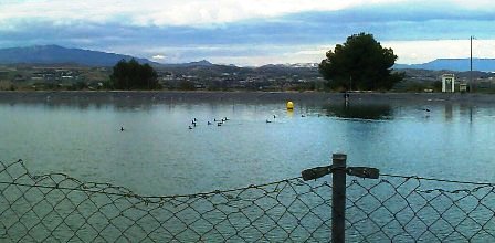 www15cormoranes_webp.jpg www15cormoranes_webp.jpg