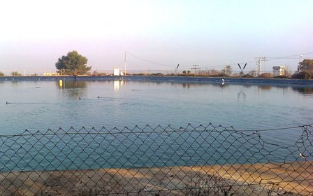 wwwcormoranesxaweb.jpg wwwcormoranesxaweb.jpg