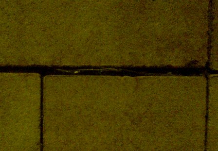 000_blog_blanus.jpg 000_blog_blanus.jpg