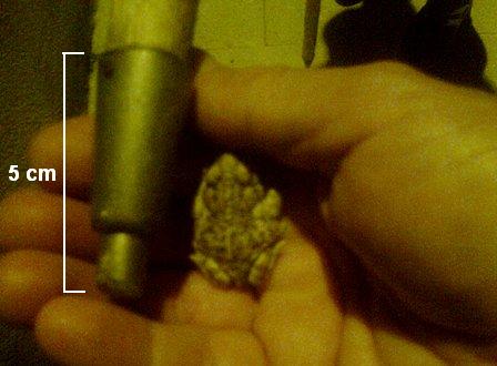 000_blog_bcalamita.jpg 000_blog_bcalamita.jpg