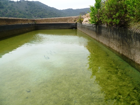 chuecos_240415_web_balsa.jpg chuecos_240415_web_balsa.jpg