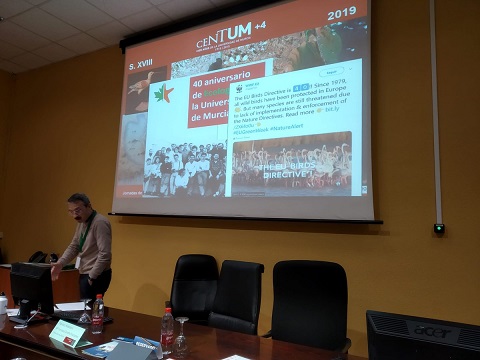 gbiffrobledano2.jpg gbiffrobledano2.jpg