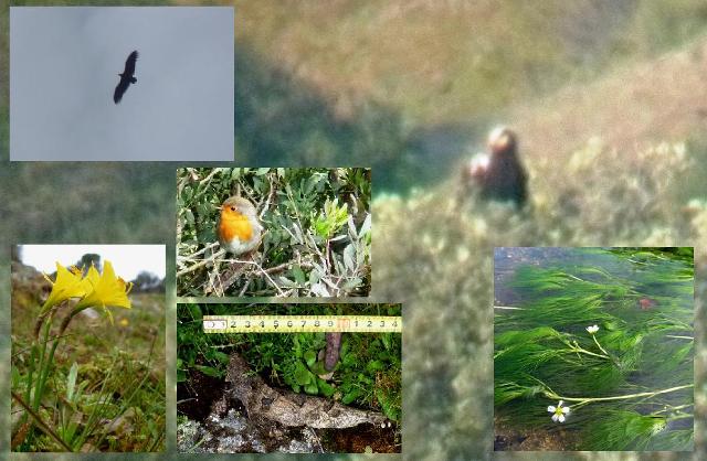 aandujar_wg.jpg aandujar_wg.jpg