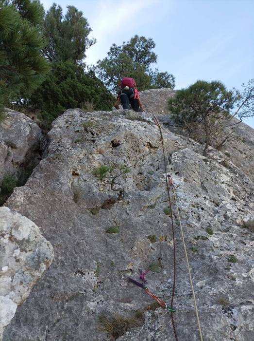 muro_segundo_largo.jpeg muro_segundo_largo.jpeg