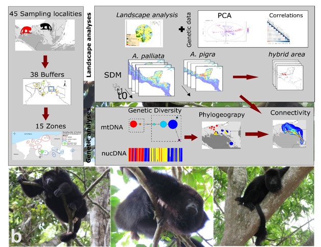 a_dp_tesis_claudia.jpg a_dp_tesis_claudia.jpg