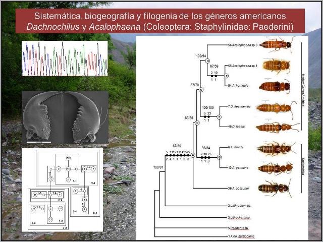 tesis_esteban.jpg tesis_esteban.jpg