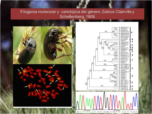 tesis_jose_fermin.jpg tesis_jose_fermin.jpg
