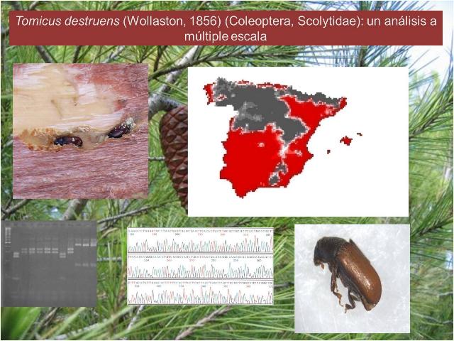 tesis_diego.jpg tesis_diego.jpg