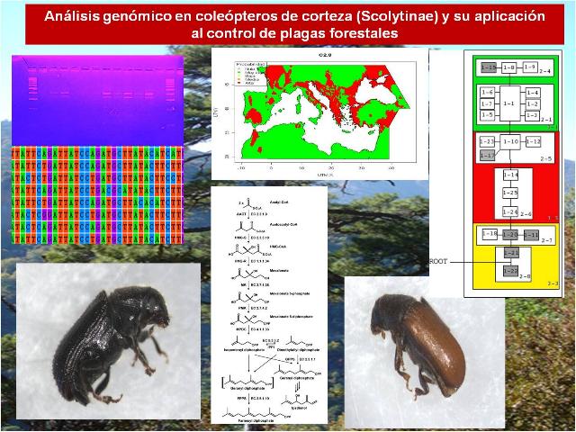 tesis_javi.jpg tesis_javi.jpg