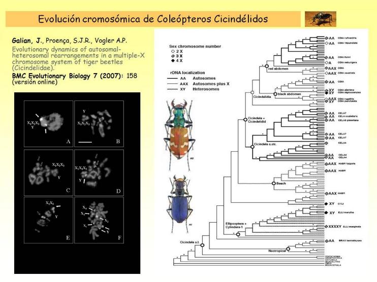 bmc_evol_biol.jpg bmc_evol_biol.jpg