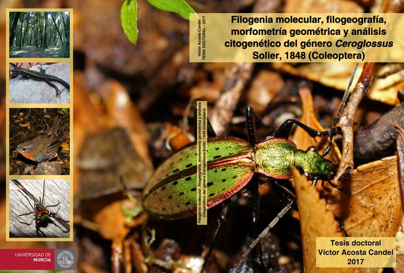 portada_tesis_victor_2.jpg portada_tesis_victor_2.jpg