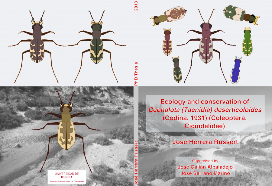 portada_lencina_300.png portada_lencina_300.png