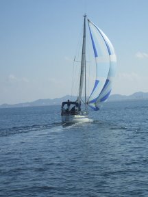 cefiro2.jpg cefiro2.jpg