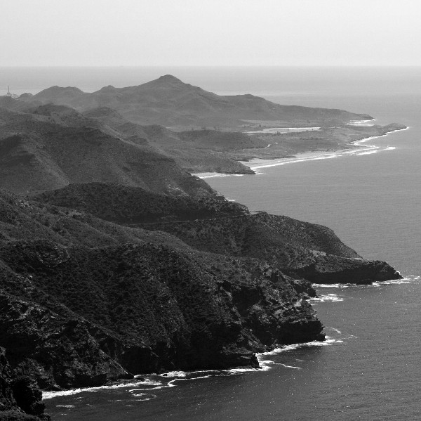 mares_6_.jpg mares_6_.jpg