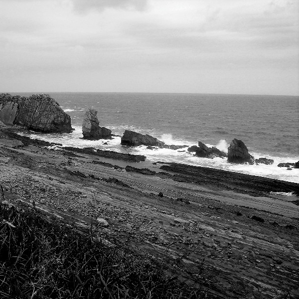 mares_1_.jpg mares_1_.jpg