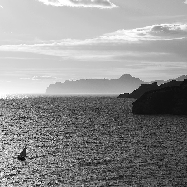 mares_11_.jpg mares_11_.jpg